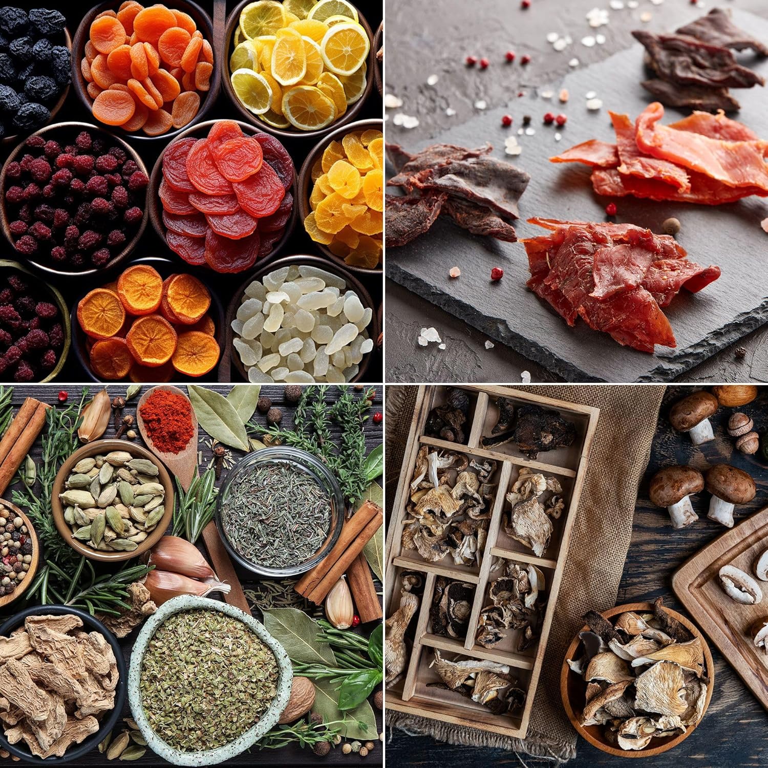 GGM Gastro DGSHB24 Food Dehydrator with its door open, showing 24 trays filled with sliced fruits and vegetables.