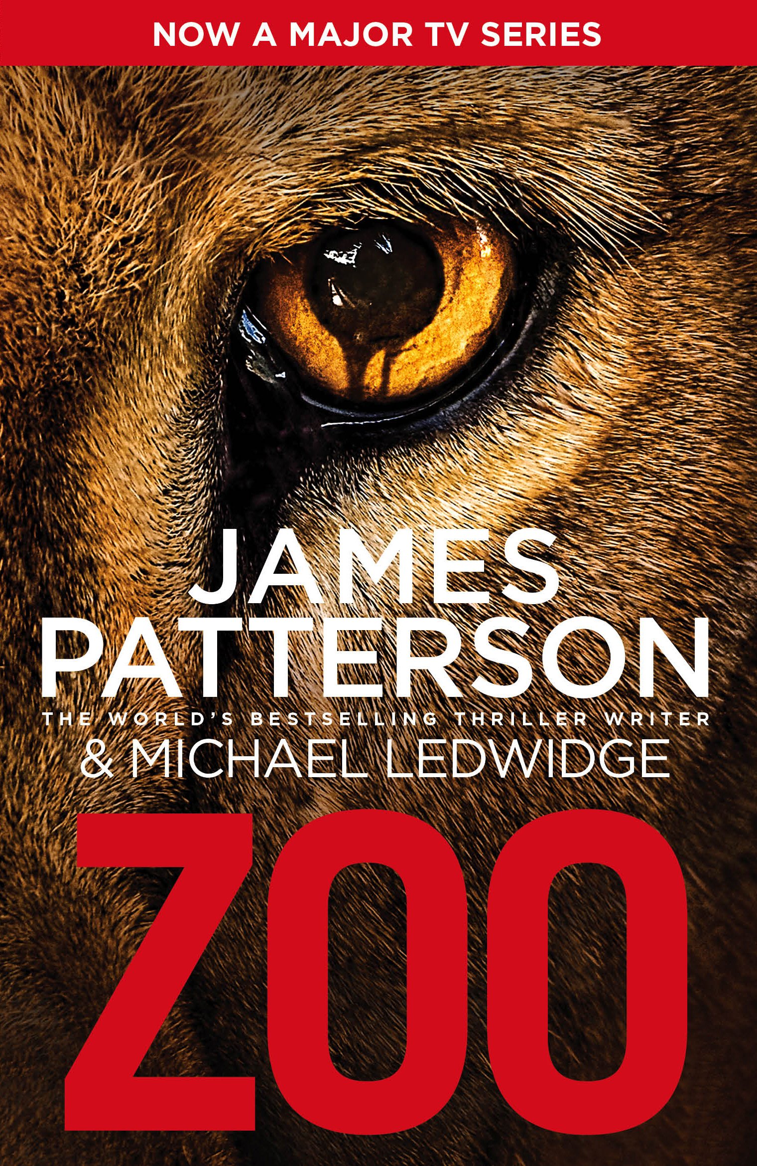 Zoo: 1 (Zoo Series, 1)