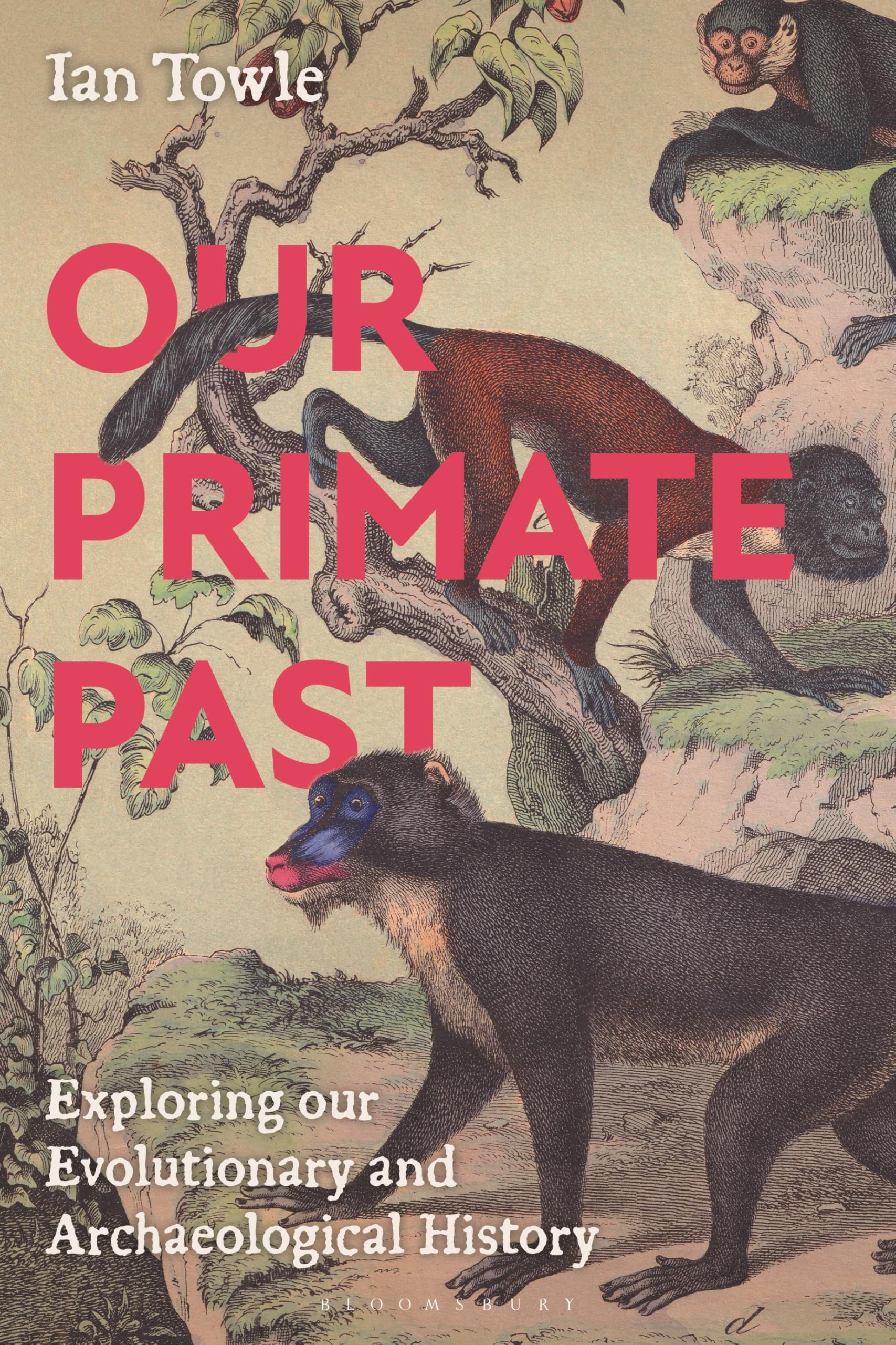 Our Primate Past: Exploring our Evolutionary and Archaeological History