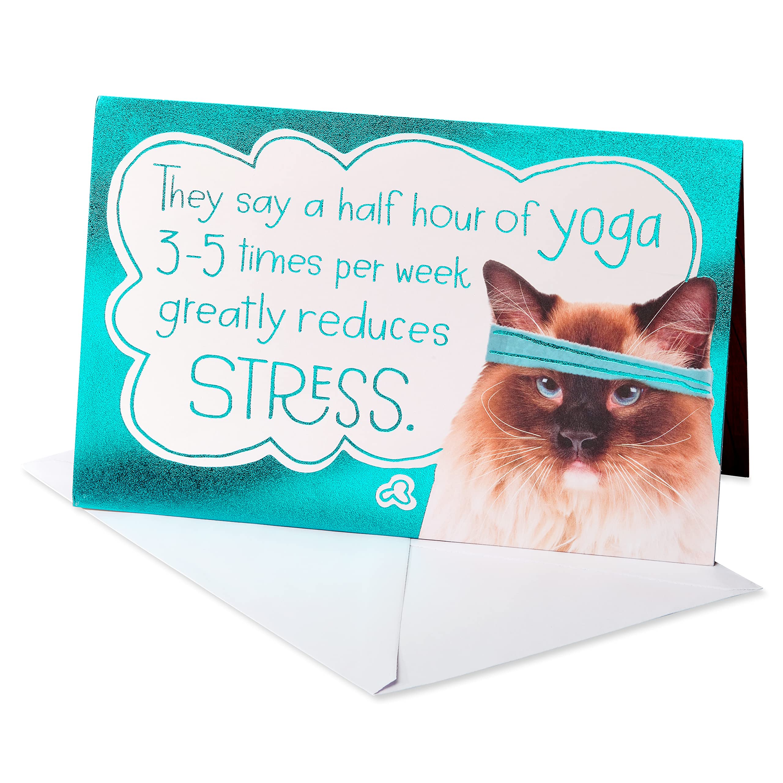 American Greetings Biglietto Di Compleanno Divertente Per Lei (So Does Ice Cream)-image