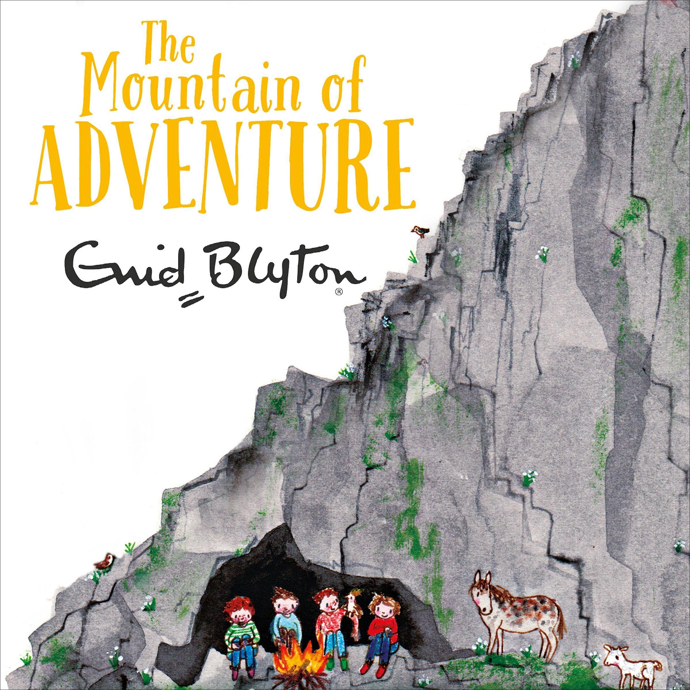 Cover art for The Mountain of Adventure