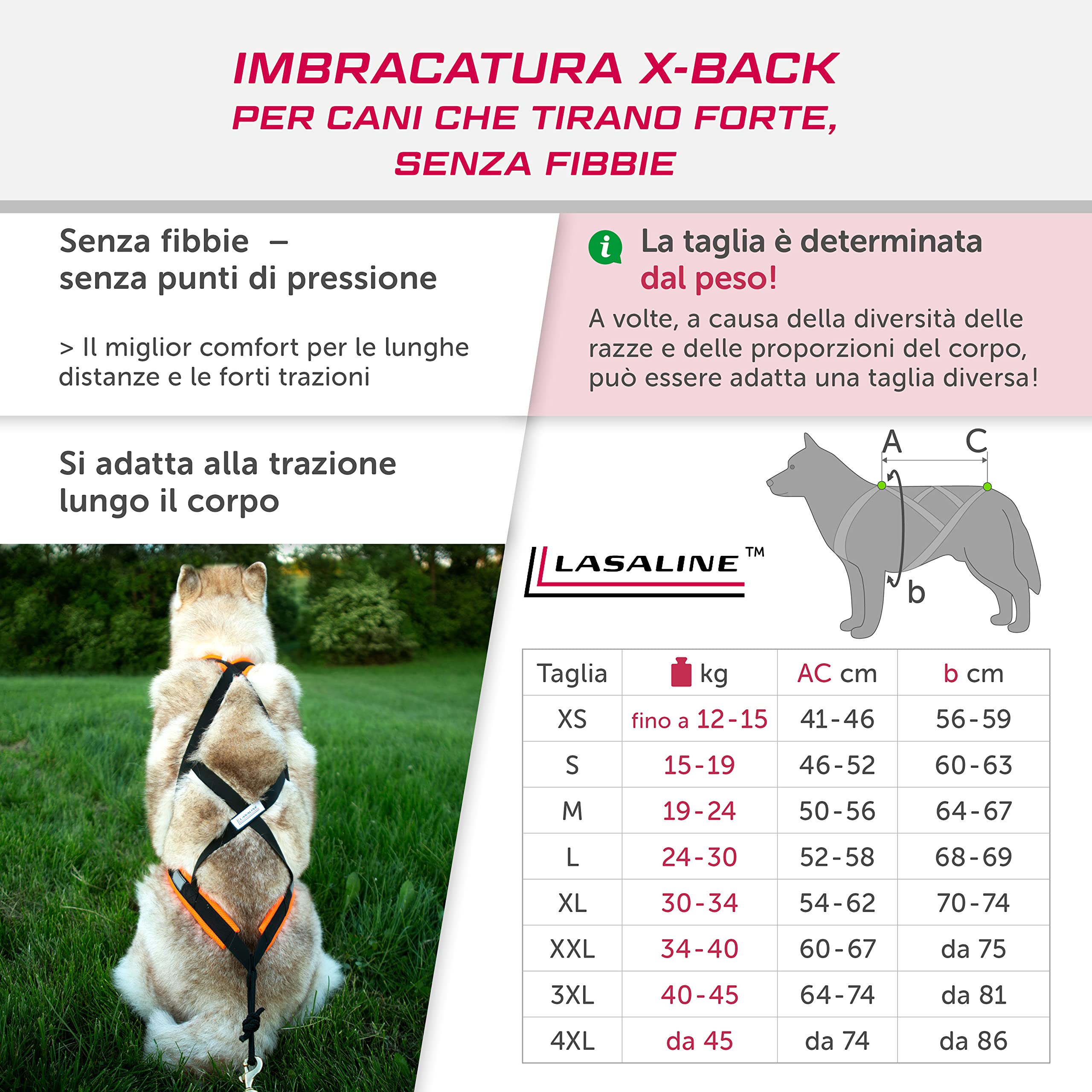 Imbracatura per cani da traino X-Back per bikejoring, Canicross, Scooter, Skijoring, Dog-Trekking, Sleddog - nero arancio neon