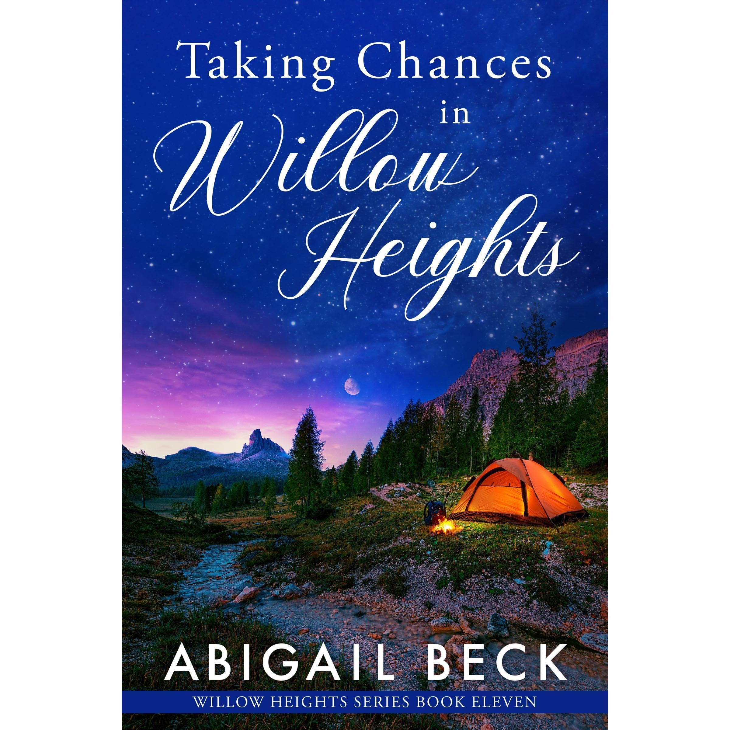 Taking Chances in Willow Heights