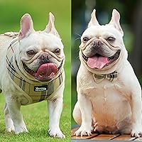 Vista 4 de MINA&CO Arnés para perros pequeños sin tirones, juego de arnés y correa de malla ajustable para cachorros, arnés para perro de tamaño mediano, juego