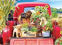 Vista 8 de RoseArt - Kodak Premium - Bird Bath Garden - Rompecabezas de 1000 piezas para adultos