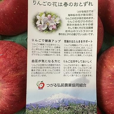 Amazon 有袋ふじ家庭用 青森 りんご 有袋ふじ家庭用10kg 14 玉 2段詰 かめあし商店 野菜ジュース フルーツジュース 通販 Amazon 有袋ふじ家庭用 青森 りんご 有袋ふじ家庭用10kg 14 玉 2段詰 かめあし商店 野菜ジュース フルーツジュース 通販