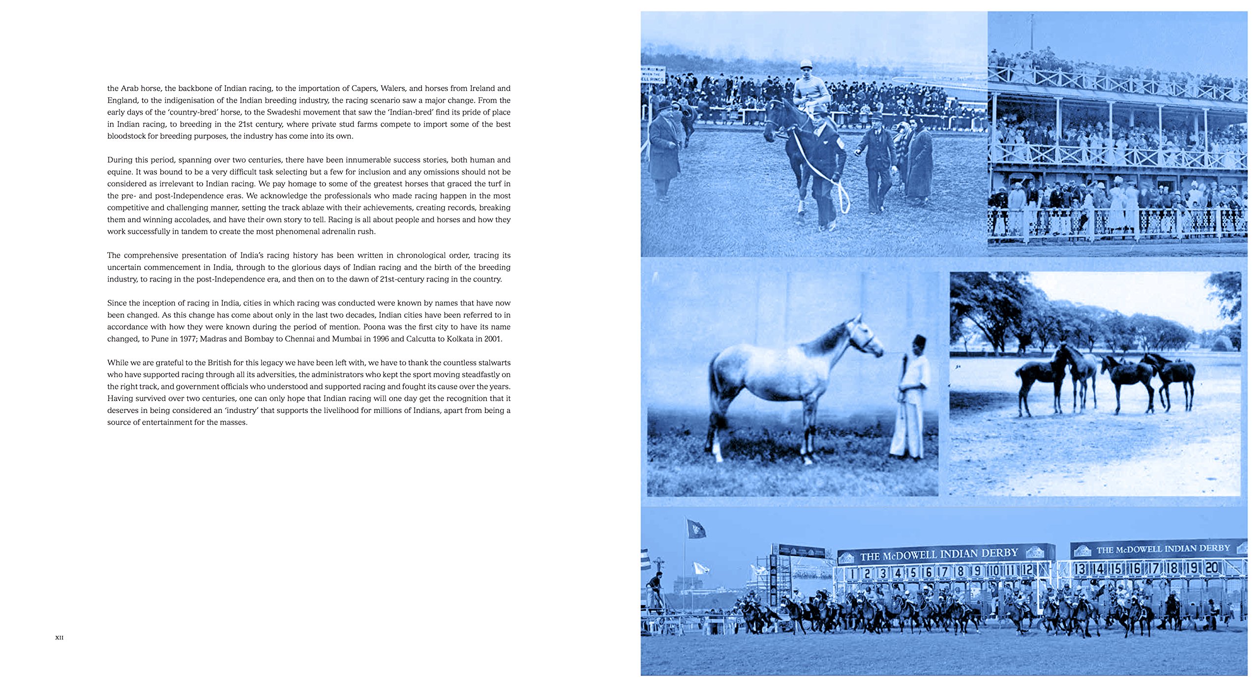 Horse Racing in India: A Royal Legacy 1