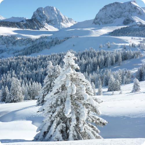 Alpine Wallpapers and Backgrounds