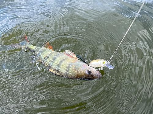 Miniatura 7 de CC60 Crankbaits for Bass Fishing, Slow Sinking, Silent, BKK Hooks, Crankbait, Pike Walleye Musky Fishing Lures, Shallow Diving Crank Bait, Depth 0-3