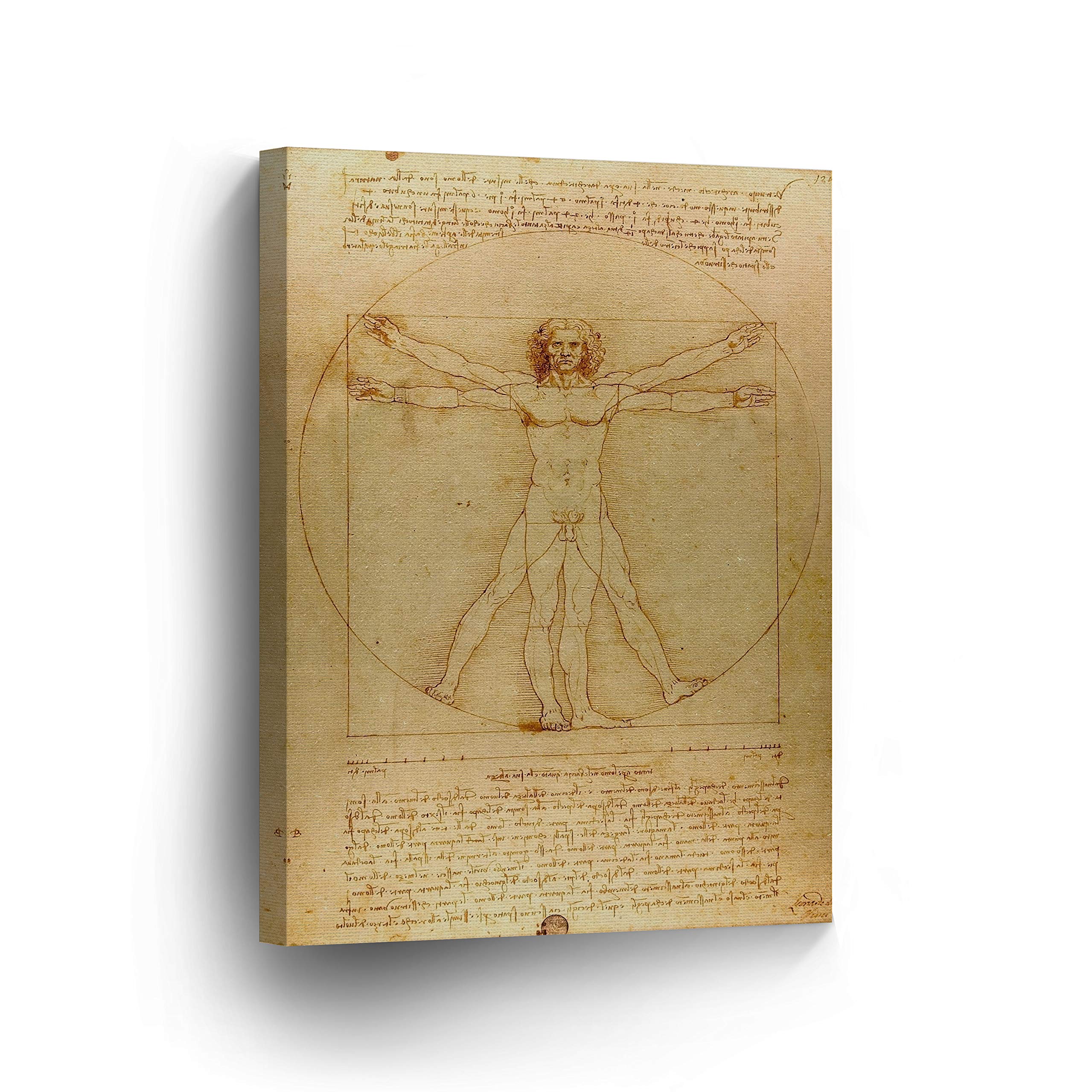 Smile Art Design Vitruvian Man by Leonardo Da Vinci Canvas Wall Art Canvas Print Famous Art Painting Reproduction Fine Art Home Decor Ready to Hang- Made in USA- 12x8