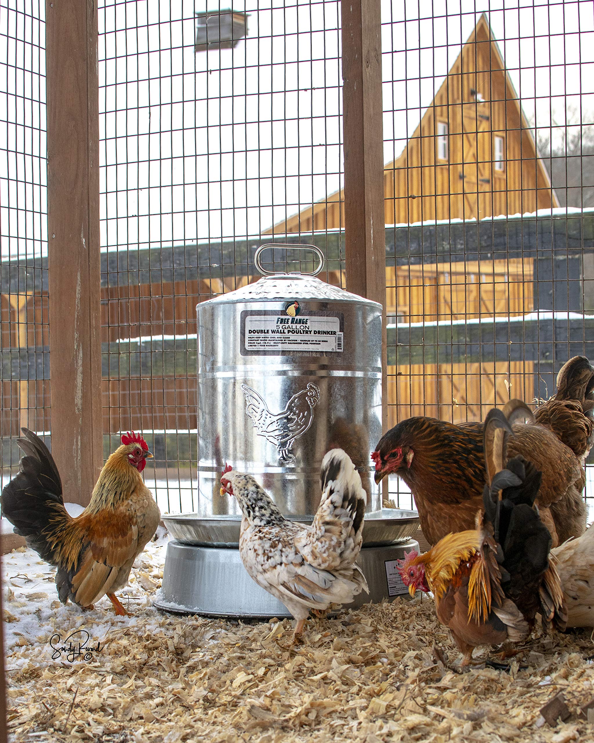 Harris Farms 01236 - Base para Bebedero de Aves de Corral