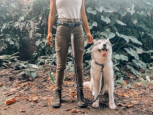 Miniatura 8 de Tuff Pupper Correa de perro resistente manos libres Un perro grande de hasta 125 libras Cómodo elástico absorbente de golpes Asas acolchadas