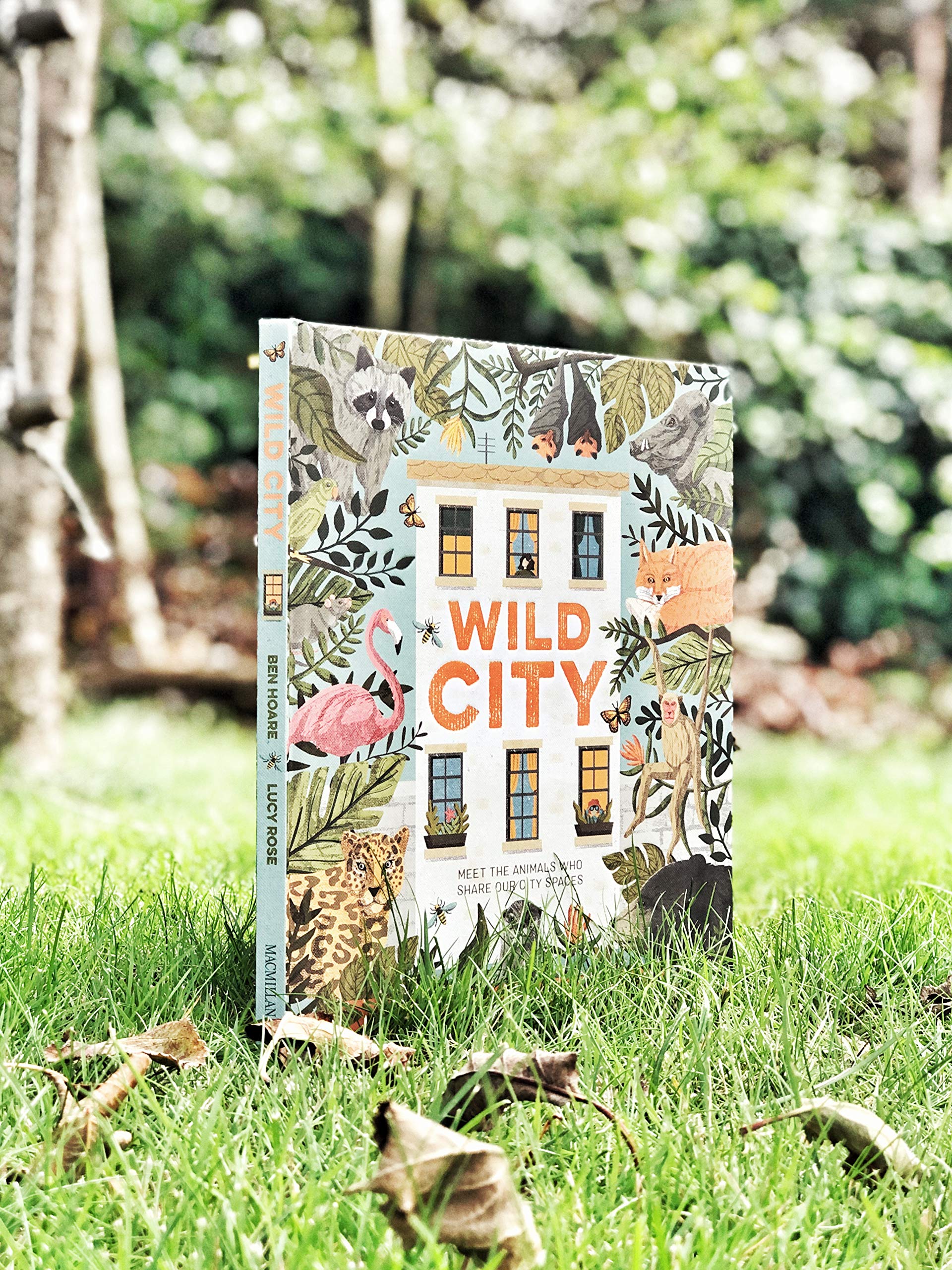 Wild City: Meet the animals who share our city spaces - Image 3