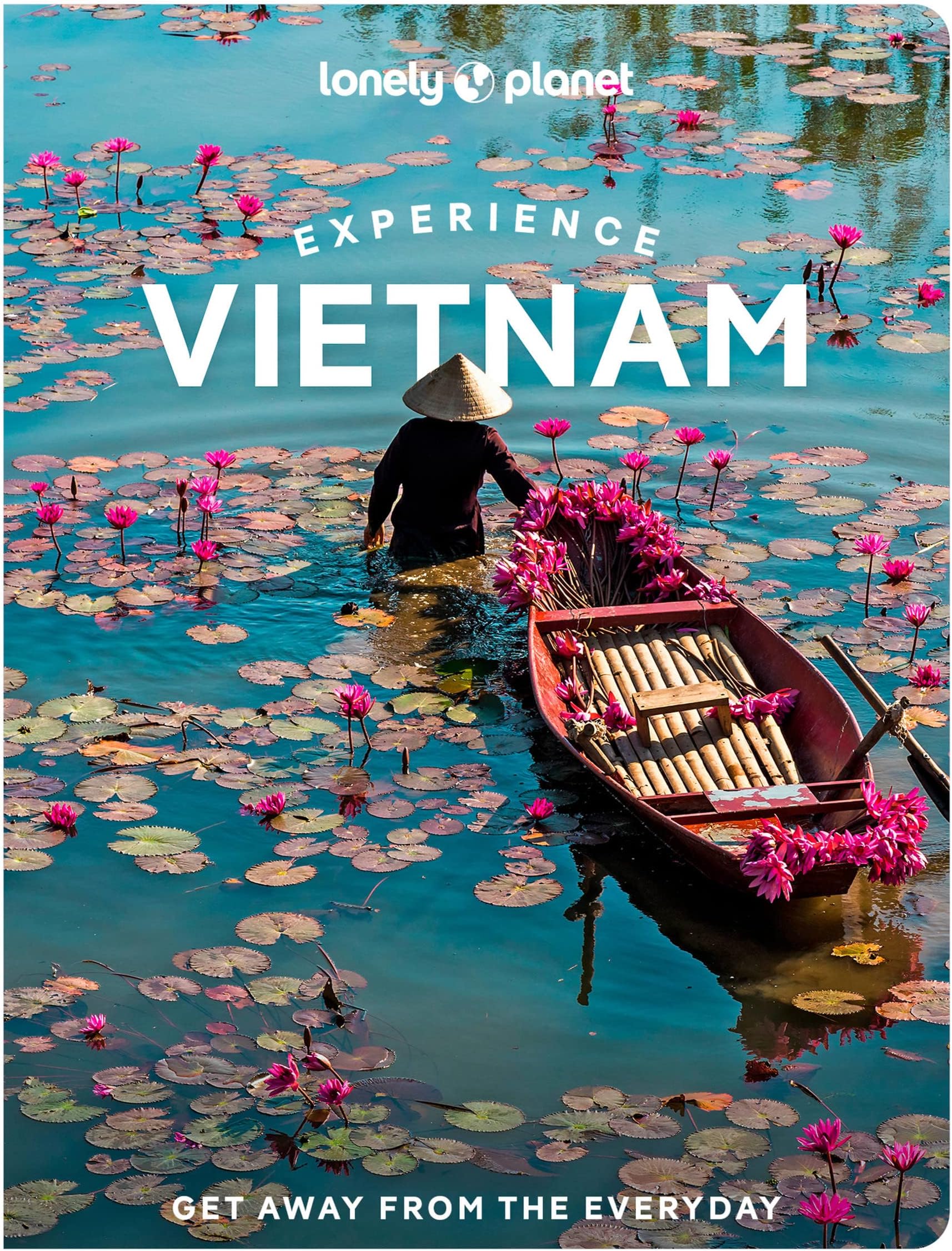 Lonely Planet Experience Vietnam: Energy work for a happy and healthy canine friend