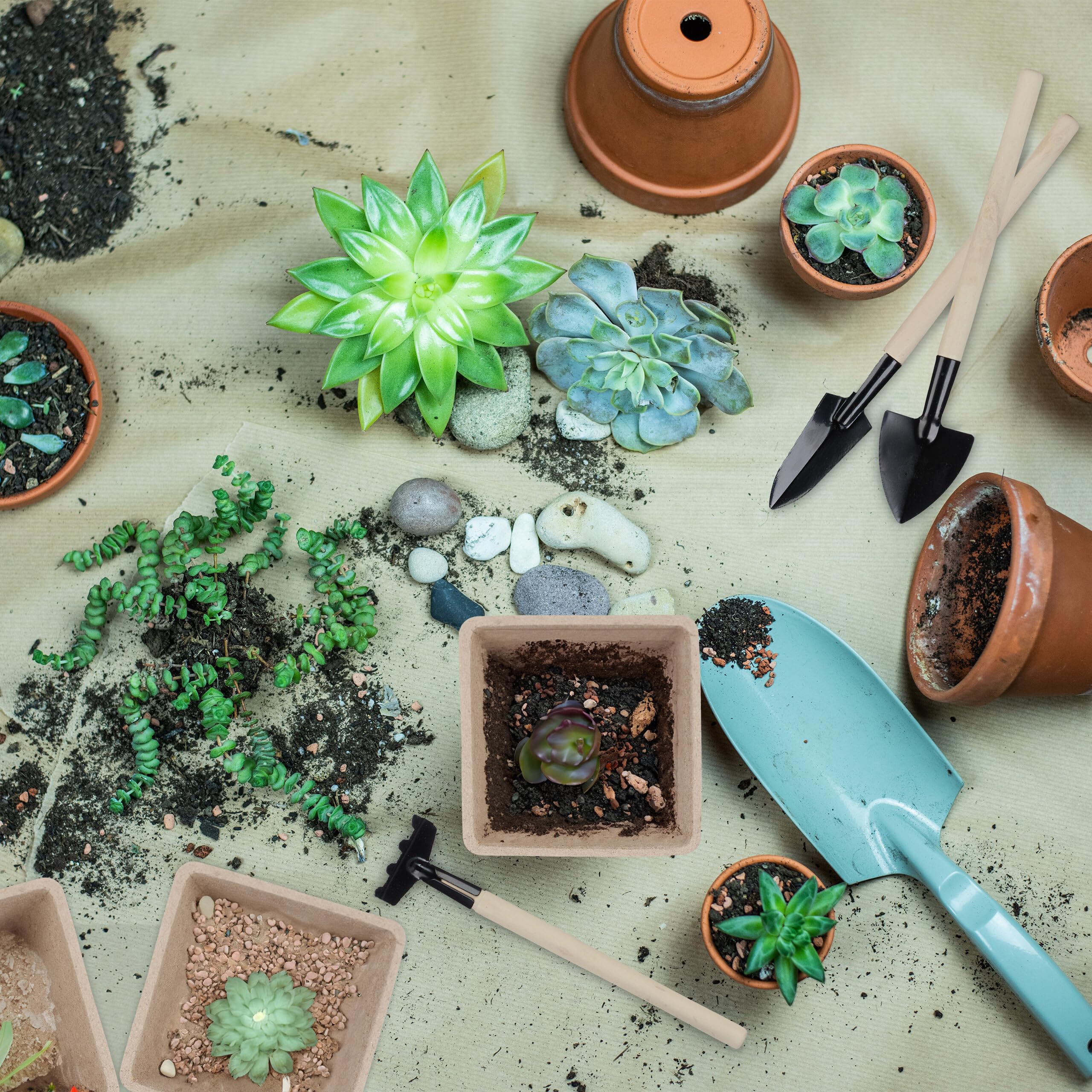 Relaxdays Set 120 Semilleros, Incluye Herramientas, Biodegradables, Macetas de Cultivo, 5,5 x 6 x 6 cm Aprox., Marrón