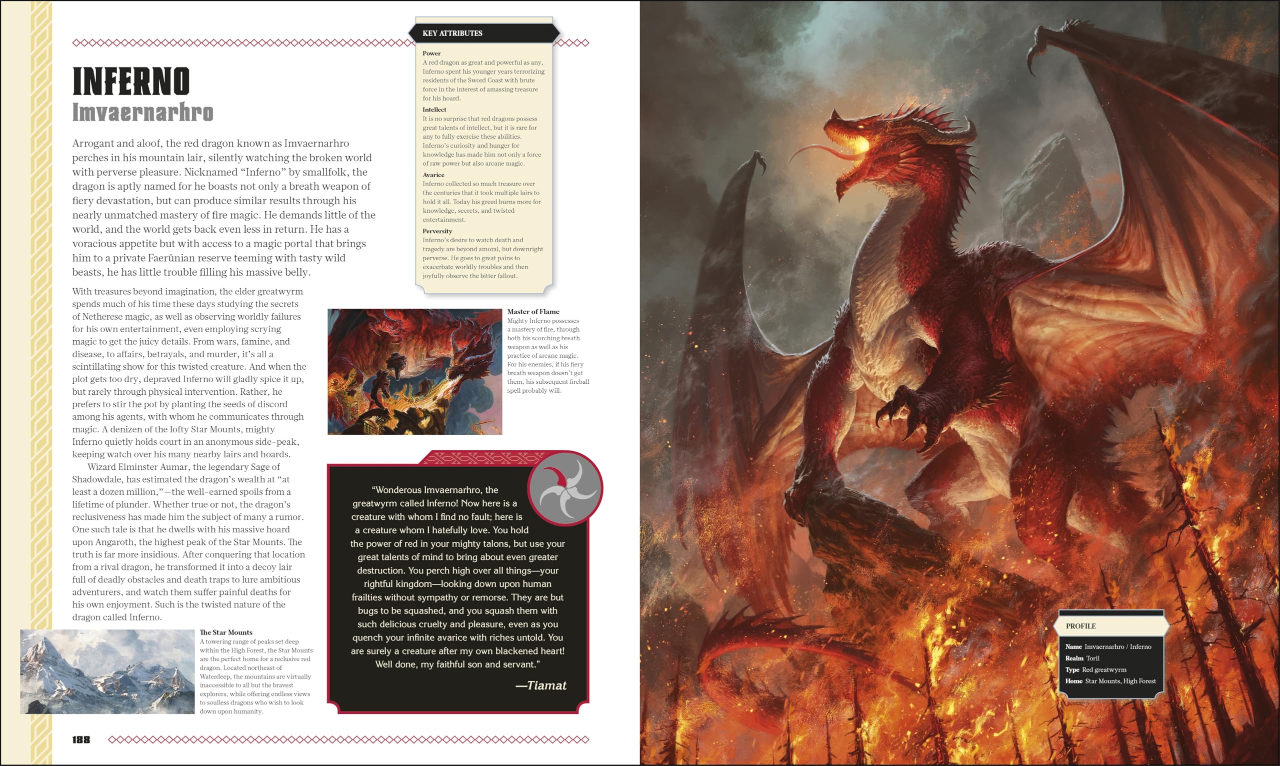 Dungeons & Dragons The Book of Dragons