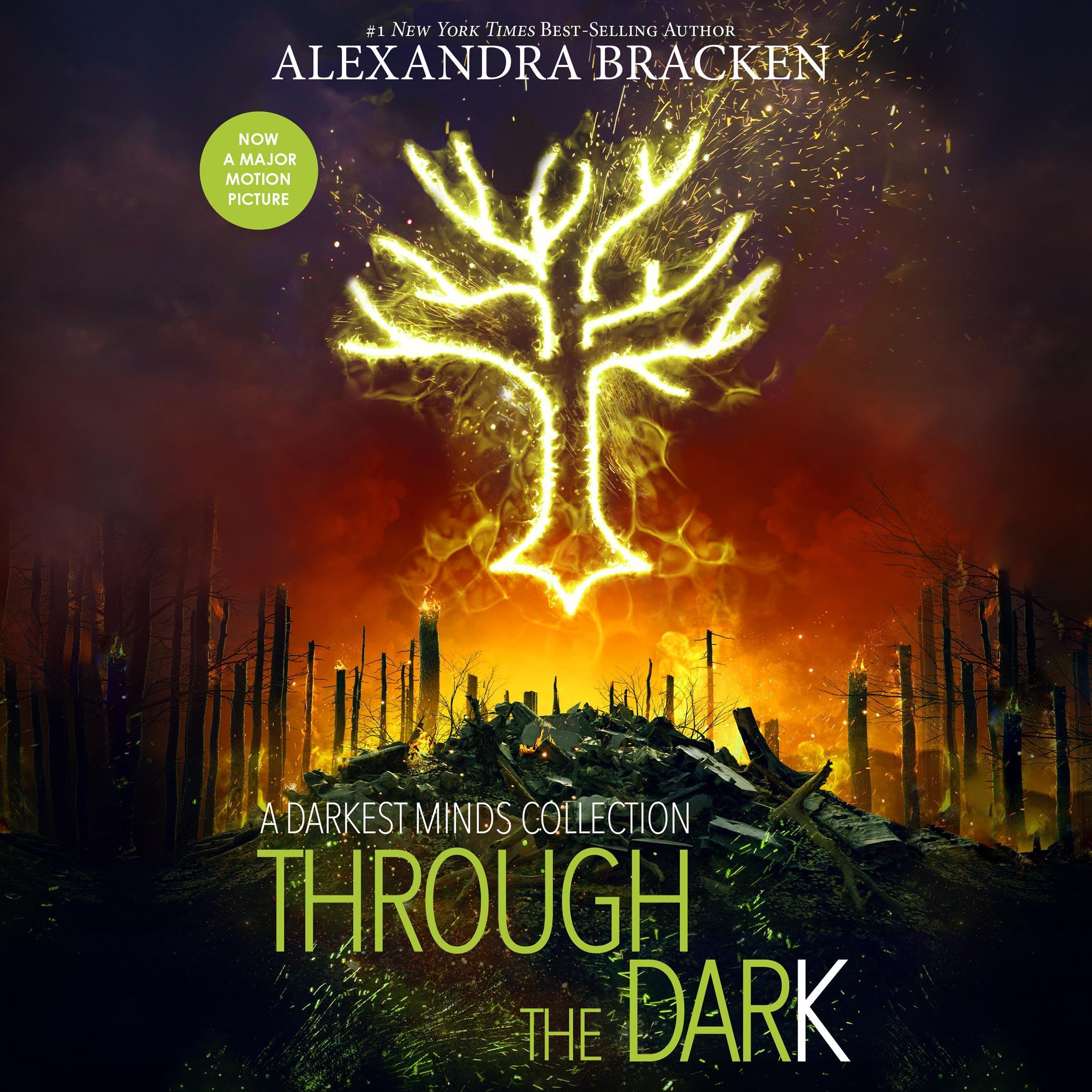 Cover art for Through the Dark