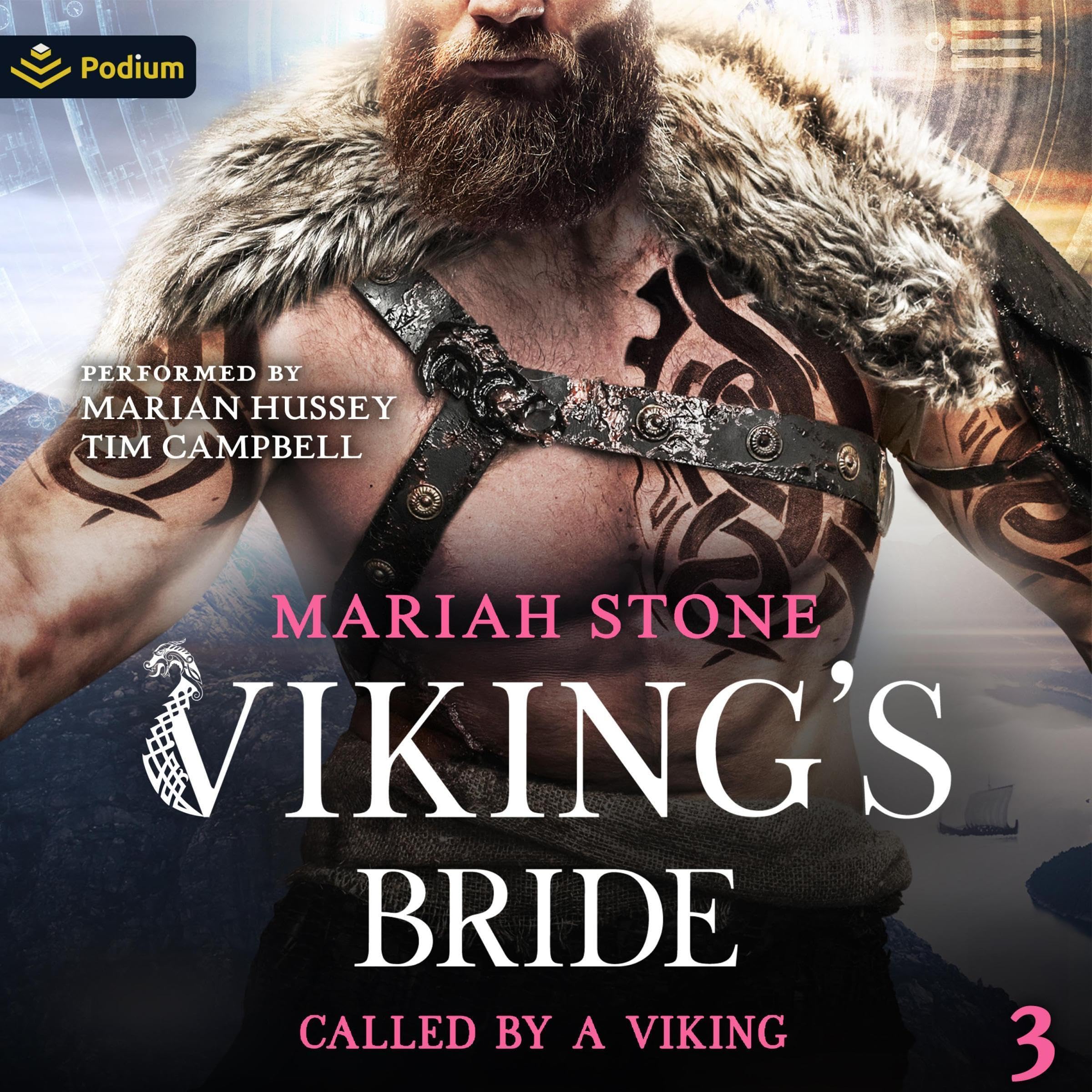 Cover art for Viking's Bride