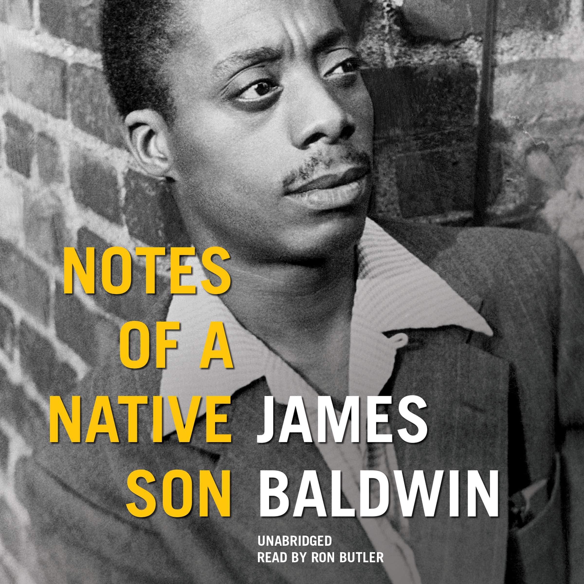 Cover art for Notes of a Native Son