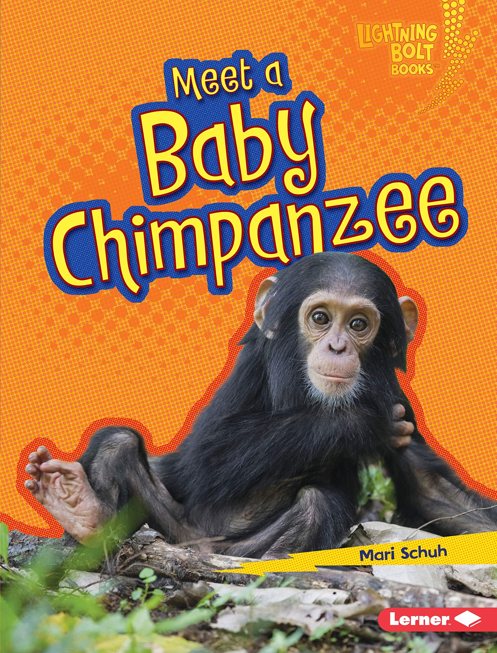 Meet a Baby Chimpanzee (Lightning Bolt Books: Baby African animals)