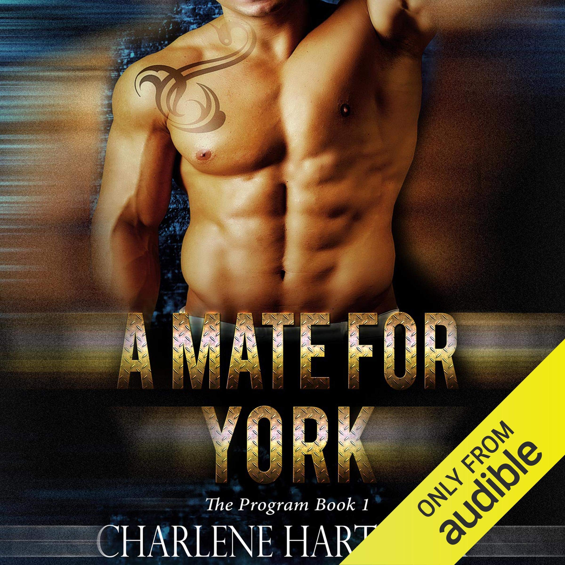Cover art for A Mate for York