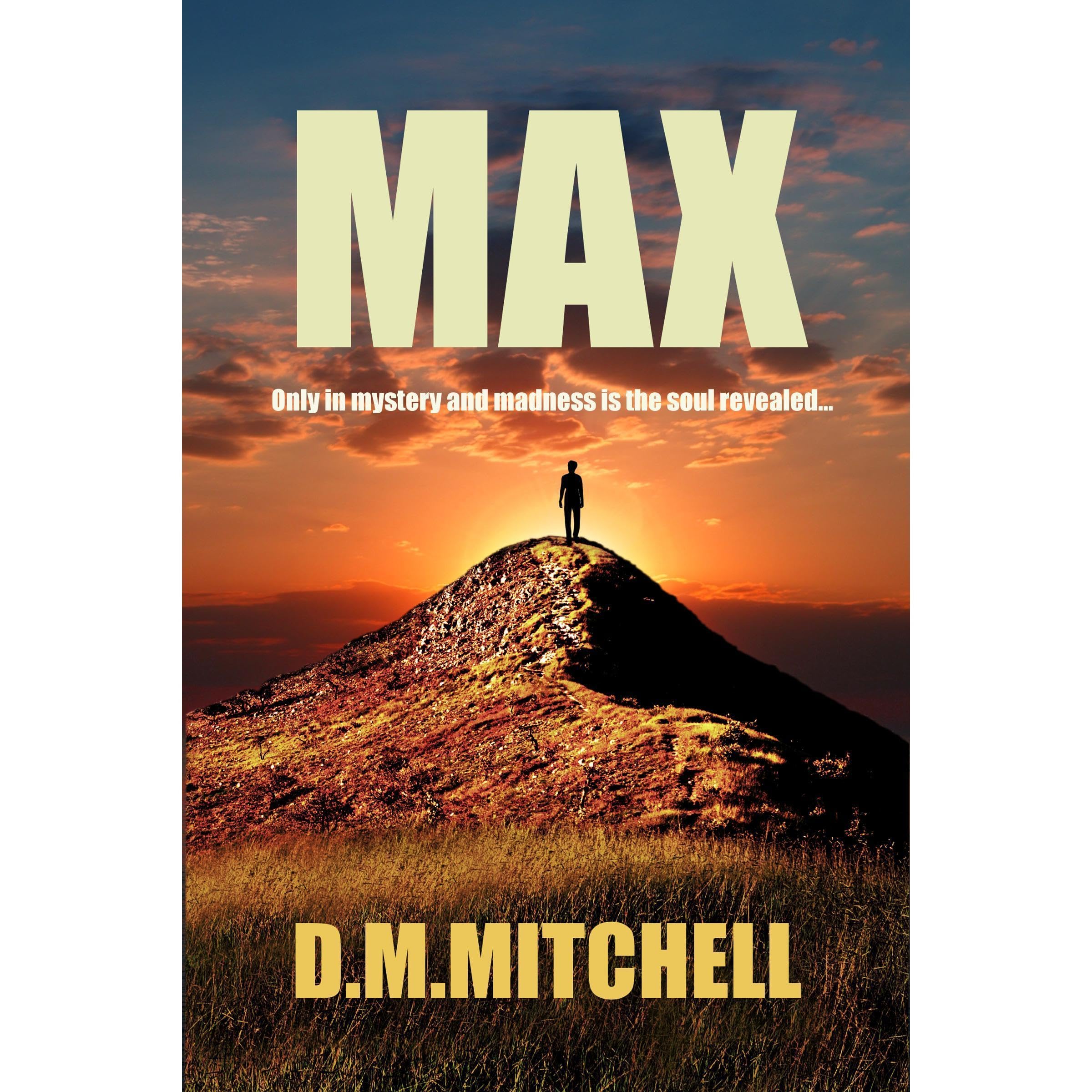 Max: a dark, psychological crime thriller full of mystery and suspense