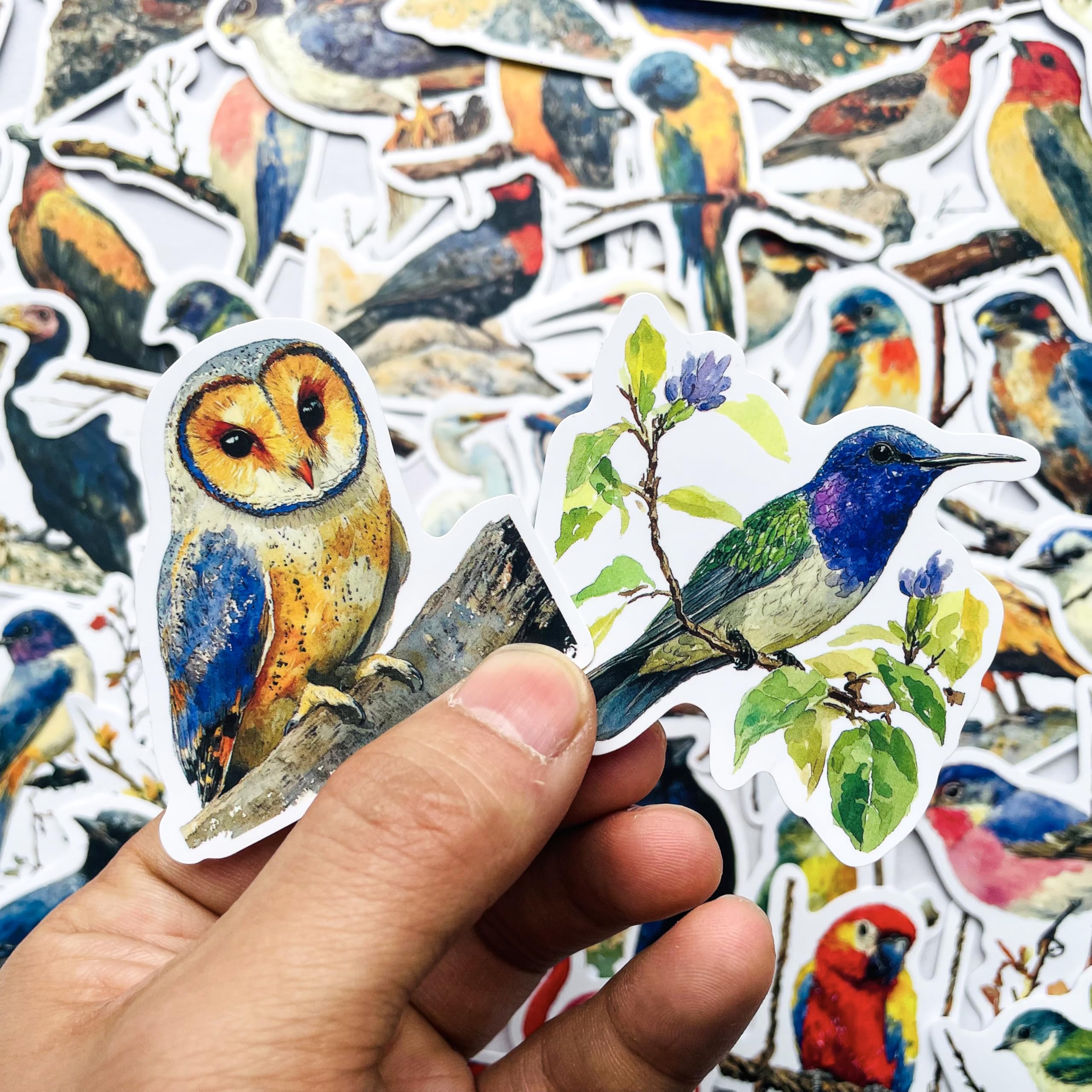 Lot De 50 Autocollants Colorés En Forme D'oiseau Pour Ordinateur