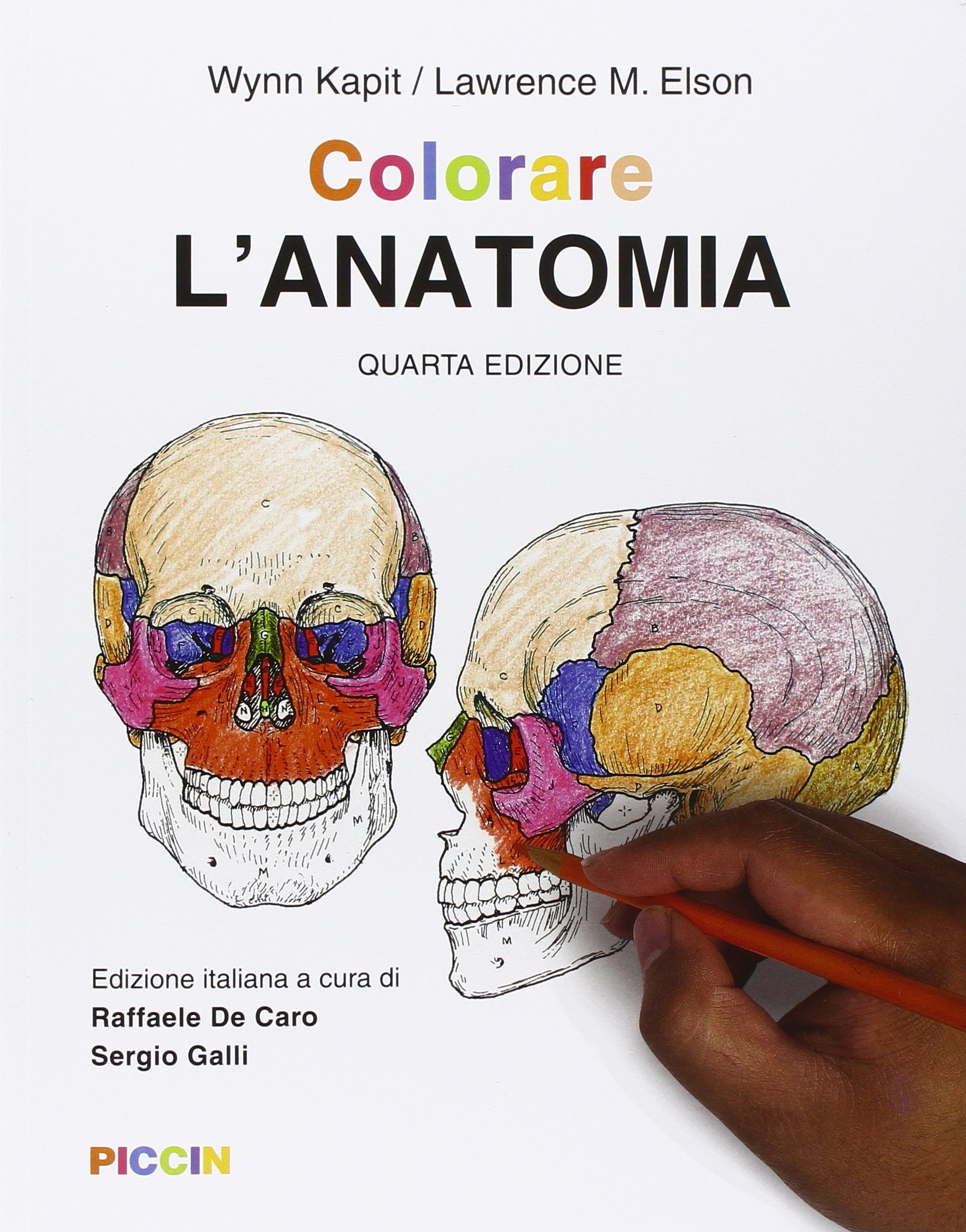 Colorare l'anatomia