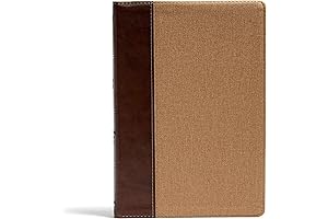 KJV Rainbow Highlighting Study Bible, Brown/Tan LeatherTouch