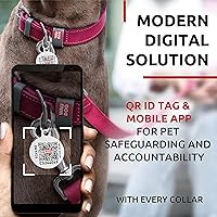 Vista 5 de WAUDOG Collar de cuero de larga duración para perros grandes, medianos y pequeños – Collares clásicos ajustables para cachorros de raza grande