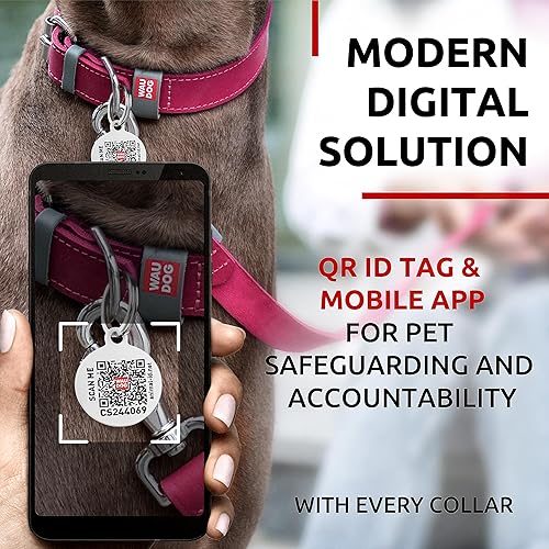 Miniatura 5 de WAUDOG Collar de cuero de larga duración para perros grandes, medianos y pequeños  Collares clásicos ajustables para cachorros de raza grande