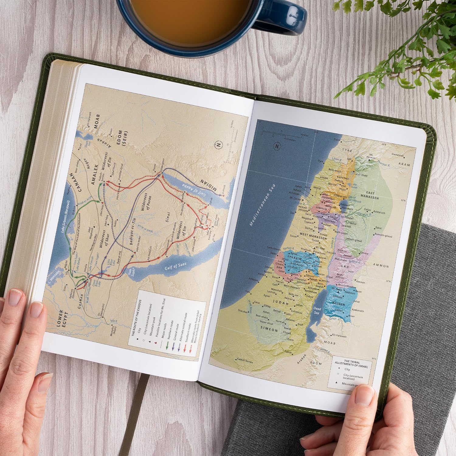 CSB Thinline Bible, Olive LeatherTouch, Red Letter, Presentation Page, Full-Color Maps, Easy-to-Read Bible Serif Type - Image 6