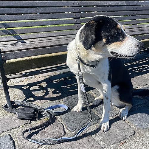 Miniatura 6 de Soporte para bolsas de excremento de perro para correas, dispensador de bolsas de excrementos de perro y soporte para golosinas con 2 bolsas