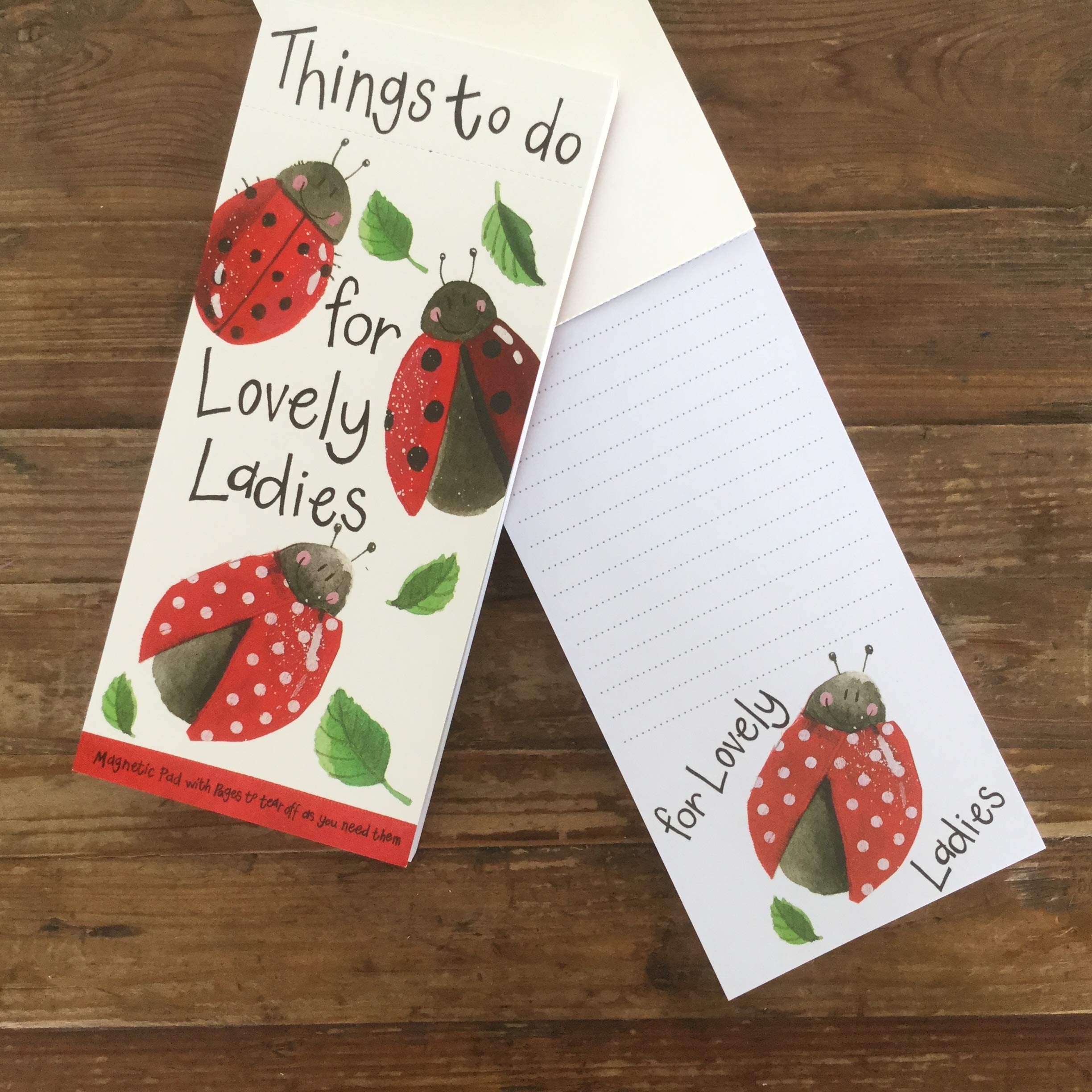 ALEX CLARK Lovely ladies Ladybird Magnetic To Do List - Planner - Shopping List - Grocery List