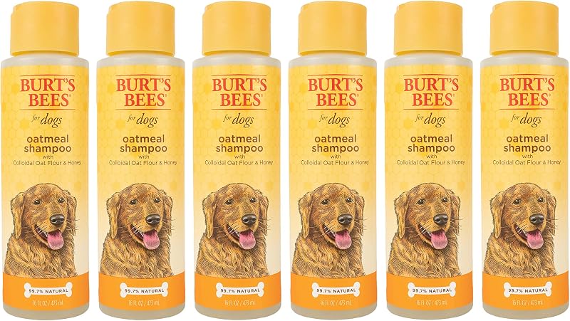 Burt's Bees for Dogs Natural Oatmeal Dog Shampoo | With Colloidal Oat Flour & Honey | Cruelty Free, Sulfate & Paraben Free, pH Balanced for Dogs - Made in USA, 16 Oz - Pack of 6