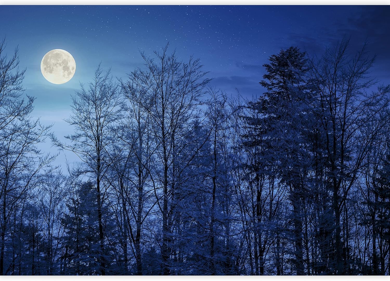 SIGNWIN Wall Mural Snow Landscape Forest Removable Self-Adhesive Wallpaper Wall Decoration for Bedroom Living Room - 66x96 inches