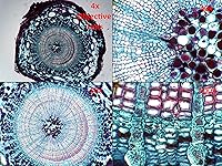 Vista 8 de Dino-Lite Cámara ocular USB AM4025X - 1.3MP, uso para microscopio tradicional, Windows/Mac Software incluido