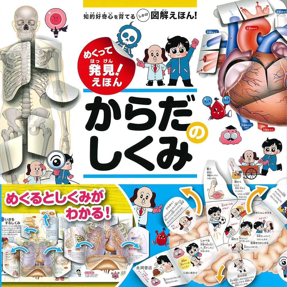 Amazon.co.jp: めくって発見! えほん からだのしくみ (めくって