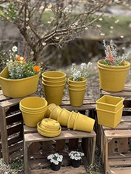 植木鉢（未使用品） Amazon | エコプランター/植木鉢 角型ワイド 300 マスタード