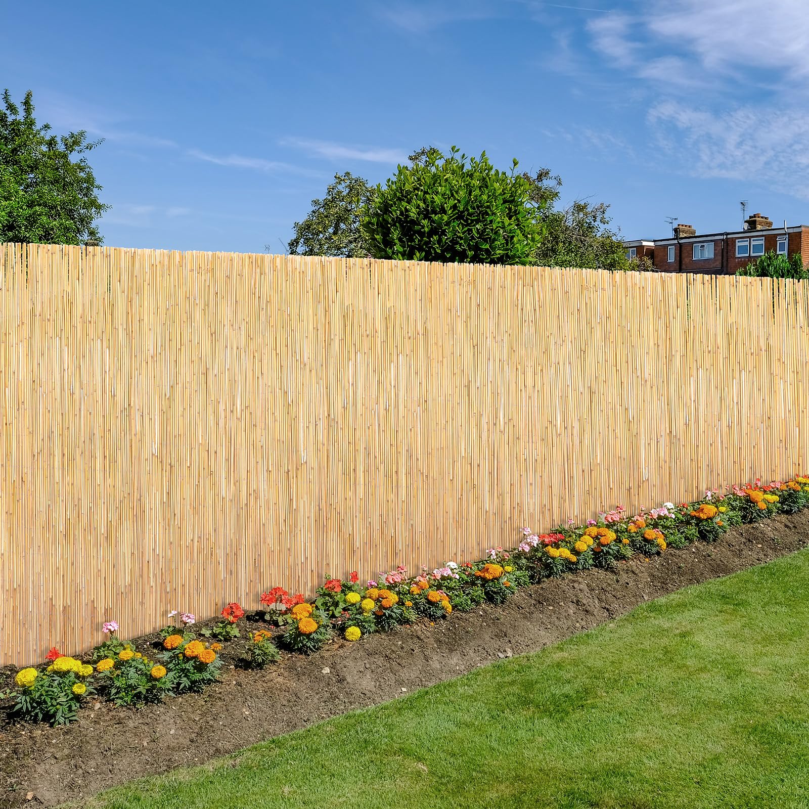 Schilfrohrmatte Sichtschutz in 12 Größen | 180x300 cm | Sichtschutzmatte aus Schilfrohr für Balkon, Garten und Terrasse | natürlicher Zaun Sichtschutz