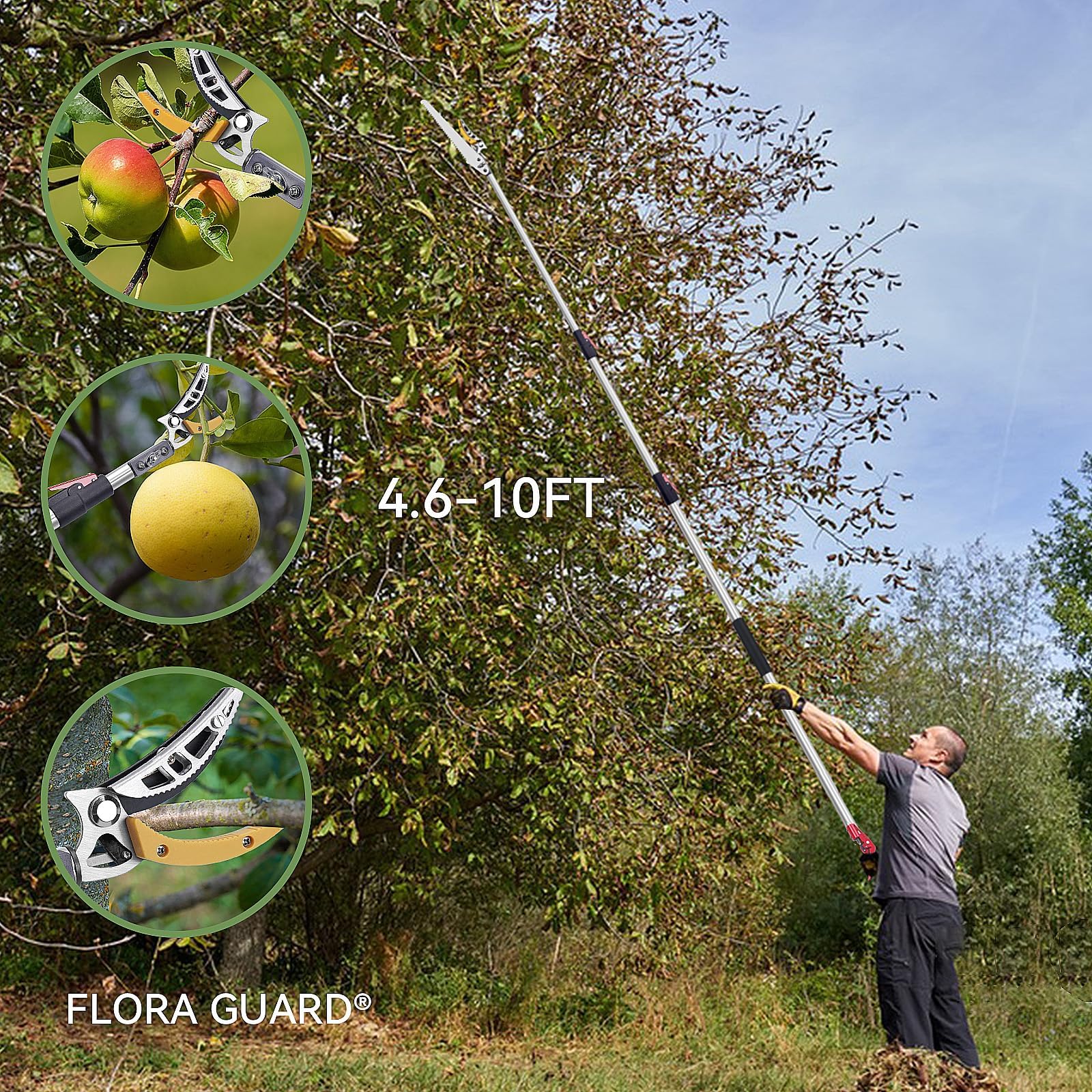FLORA GUARD Scie à élaguer télescopique1,4-3,05 m, scie à arbre avec dents SK5 3D, longueur de lame de scie 300 mm, sécateur à fruits pour le jardin et l'extérieur