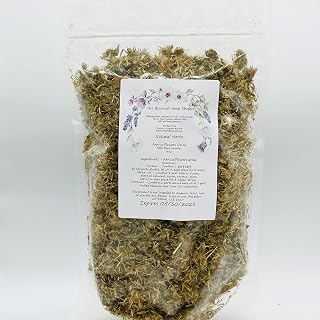 Arnica Flowers Dried | 6oz | salves ointment | Heterotheca inuloides | The Bloomin Herb Shoppe | Bulk
