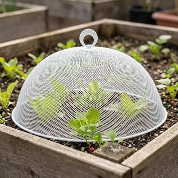 MAGICLULU 2-Pack Metal Mesh Food Covers, 11.8-Inch Net Dome Plate Fly Tents, Outdoor Plant Seedling Protectors for Picnic, BBQ, Garden and Kitchen (Black, White)