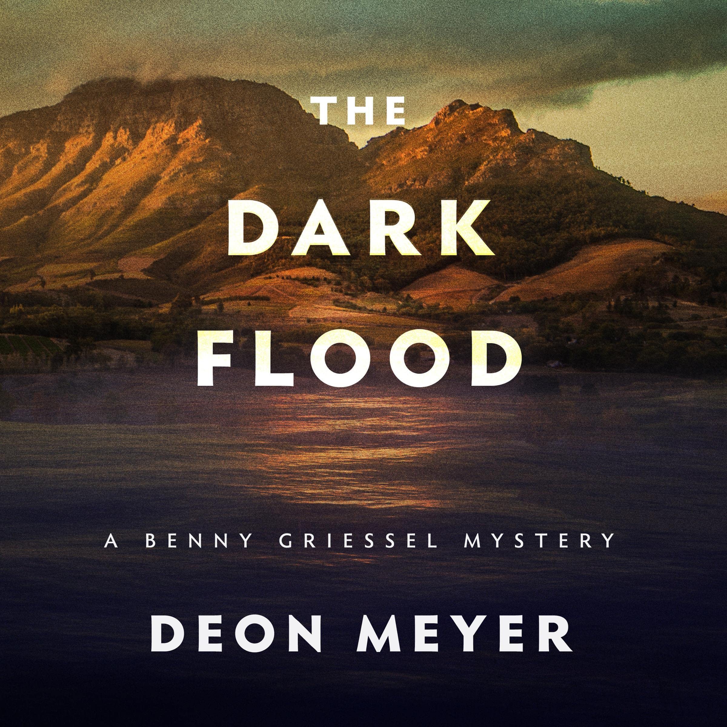 Cover art for The Dark Flood