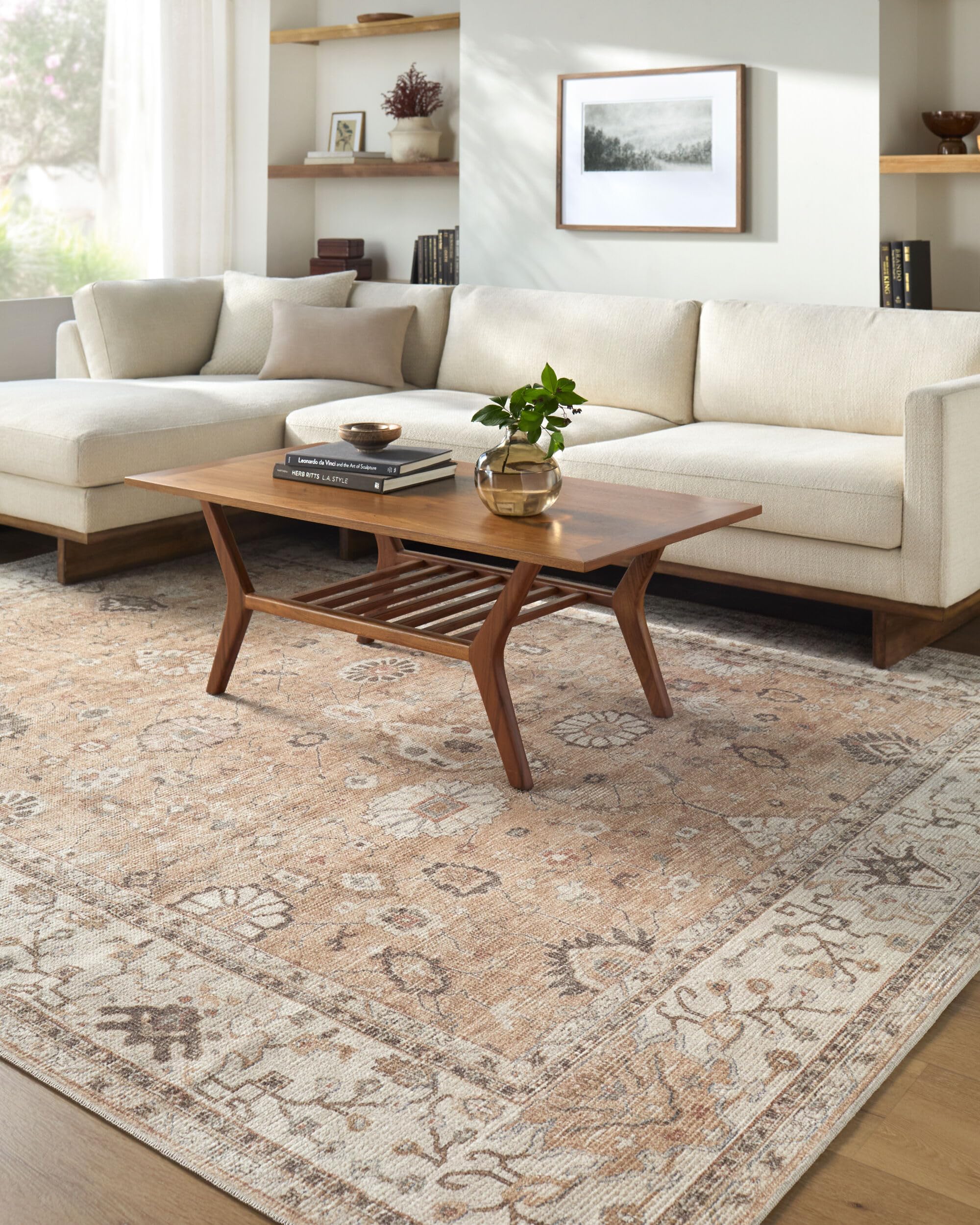 Amazon.com: Livabliss x Becki Owens Davina Traditional Area Rug, 9