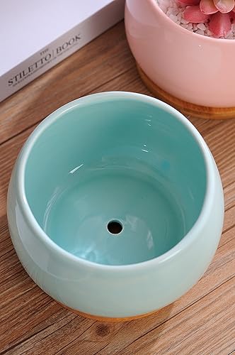 Miniatura 3 de Jusalpha Maceta grande de cerámica de 5 pulgadas con orificio de drenaje y platillo de bambú para plantas de interior, maceta 07 (azul)