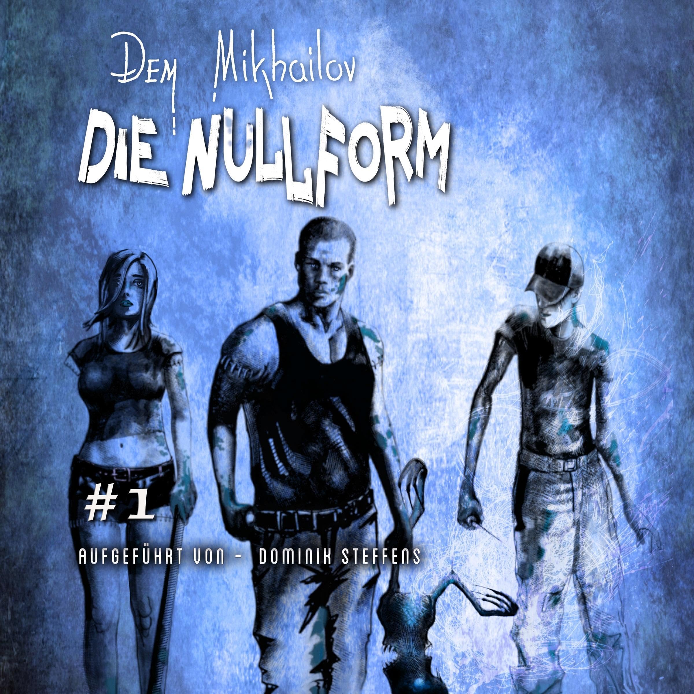 Cover art for Die Nullform (Buch 1)
