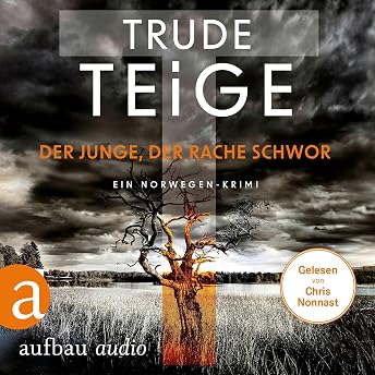 Der Junge, der Rache schwor Hörbuch von Trude Teige episode artwork