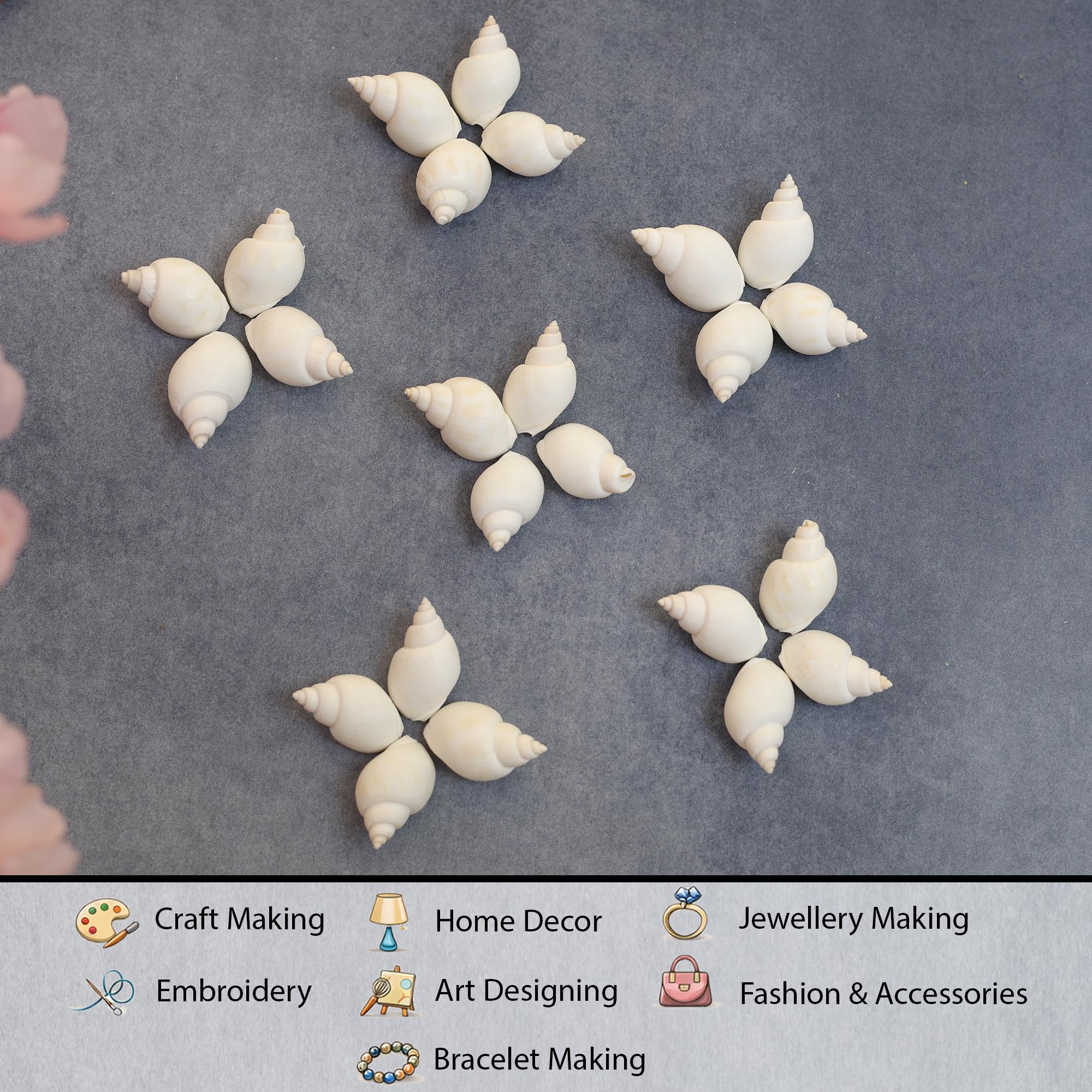 Amazon.in: EmbroideryMaterial: Sea Shells