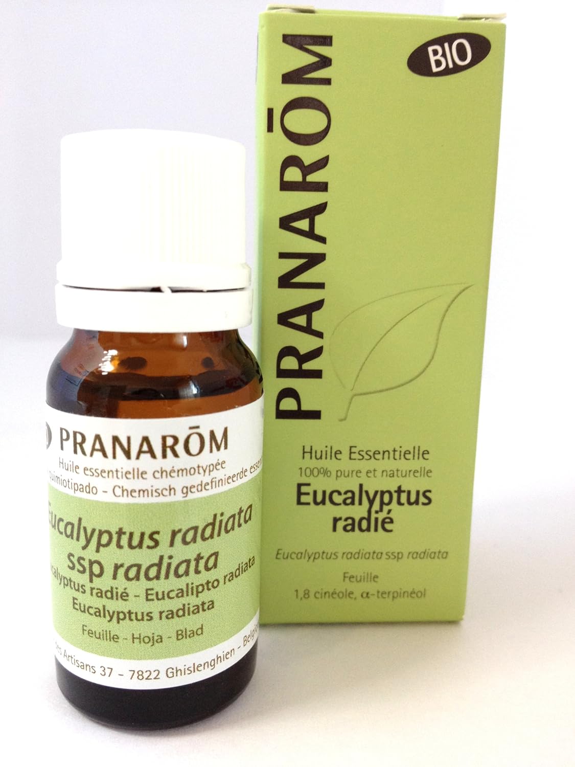 Pranarôm Eucalyptus radié Bio (Eucalyptus radiata) Amazon.fr